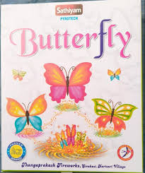 BUTTERï¬‚Y (10 PCS)